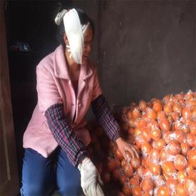 【助农扶贫】重庆圆红甜橙橙子 中大果      不打膨大剂、催红素  不打蜡