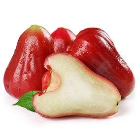 【1颗|大果】莲雾姐 泰国黑金刚莲雾1颗(重约85g—100g)【4月5日—7日提货】【2日内提货】