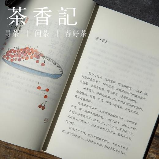 茶香记《闲饮茶》 胡竹峰著 山东画报出版社 茶书 茶道 茶文化  闲雅茶事 商品图3