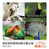 重庆绿色星球动物主题公园 商品缩略图0