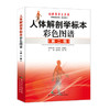 人体解剖学标本彩色图谱(第2版)    作者：钟世镇    广科出版 商品缩略图0