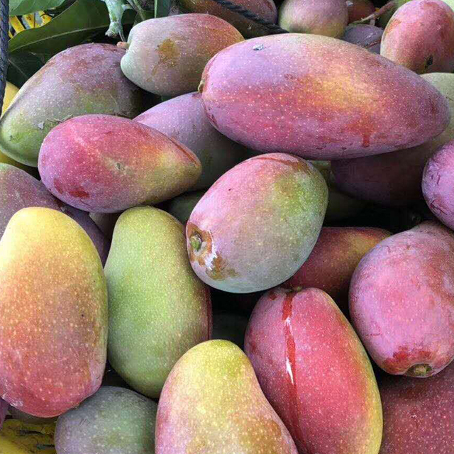 زǡһƬâʲժâ5