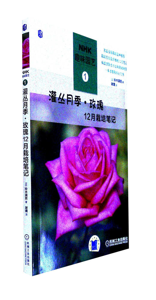 灌丛月季.玫瑰12月栽培笔记 商品图0