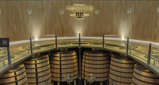 桃乐丝奥托斯伊贝利克里奥哈红 Torres Altos Ibericos Rioja 商品图6