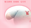 限定版悠悠吉祥物毛绒（悠悠“猪”），猪年特别设计，精美刺绣，软绵绵，毛茸茸！ 商品缩略图2
