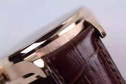 ZF万国V5版新葡7。型号:IW500702系列：葡萄牙定制52010自动机械机芯,动力储备：168小时外观表径：42.3毫米，男士，皮表带，透底 商品图5