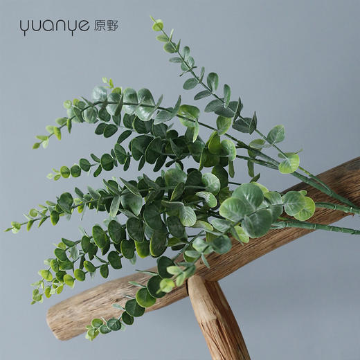原野绿植尤加利金钱叶仿真花假花现代简约装饰绢花家居客厅摆件 商品图4
