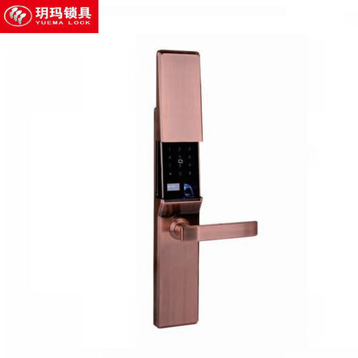 玥玛ZN8088无锁体香槟金指纹密码刷卡锁 商品图0