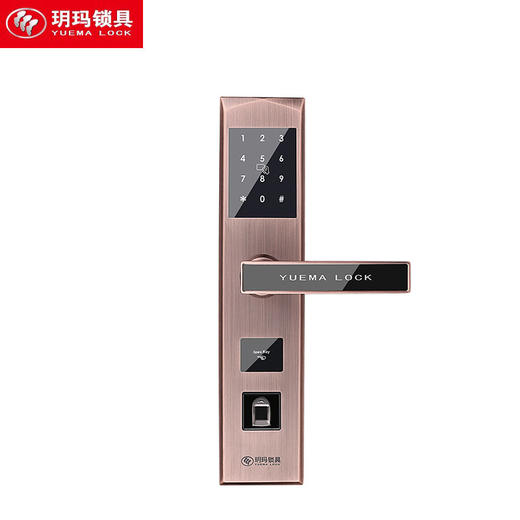 玥玛-FP1111无锁体红古铜指纹密码刷卡锁 商品图0