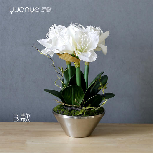 原野花艺朱顶兰假花仿真花客厅摆设装饰花摆件家居电视柜插花绢花 商品图1