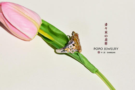 蝶恋花 商品图3