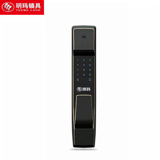 玥玛-FP006无锁体指纹密码刷卡锁智能全自动 商品图0