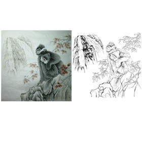 工笔动物白描底稿-李保山-猴《企望》-斗方小品册页-多种白描尺寸可选-EL27