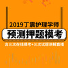 2019丁震护理学师预测押题模考 商品缩略图0