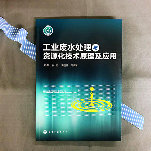 工业废水处理与资源化技术原理及应用 商品图1