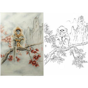 竖幅工笔动物白描底稿-李保山-金丝猴-晨《远山》-多种白描尺寸可选-EL21