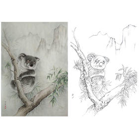 竖幅工笔动物白描底稿-李保山-考拉-多种白描尺寸可选-EL18