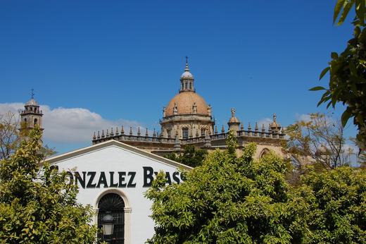 西班牙缇欧佩佩雪莉酒（利口葡萄酒）Gonzalez Byass Tio Pepe Fino Muy Seco Sherry, Andalucia, Spain 商品图2