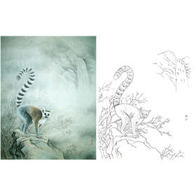 竖幅工笔动物白描底稿-李保山-环尾狐猴《山色已渐秋》-多种白描尺寸可选-EL23