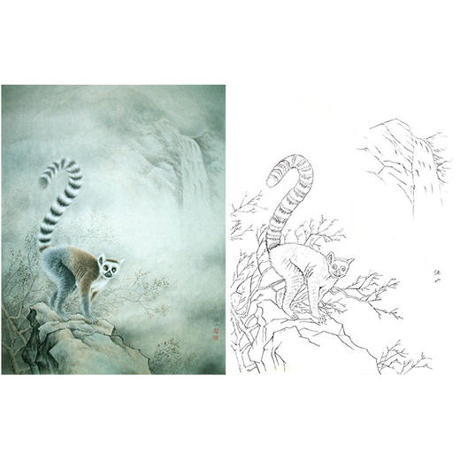 竖幅工笔动物白描底稿-李保山-环尾狐猴《山色已渐秋》-多种白描尺寸可选-EL23 商品图0