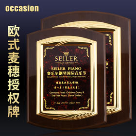 钢琴漆创意奖牌定制定做木质牌匾比赛证书金属加盟授权牌聘书制作