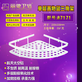 丽驰 挂件 单层三角架 87171