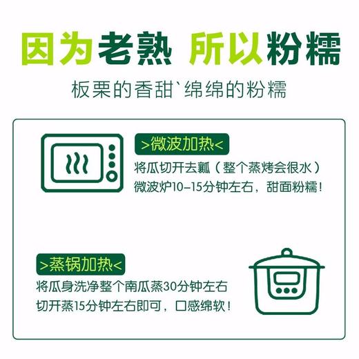 【新进品种 多种维生素 】贝贝南瓜 板栗南瓜迷你小南瓜 商品图5