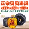 【新进品种 多种维生素 】贝贝南瓜 板栗南瓜迷你小南瓜 商品缩略图1
