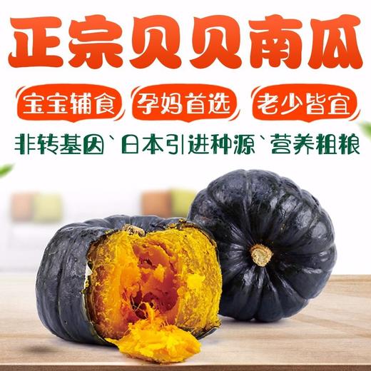 【新进品种 多种维生素 】贝贝南瓜 板栗南瓜迷你小南瓜 商品图1