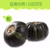 【新进品种 多种维生素 】贝贝南瓜 板栗南瓜迷你小南瓜 商品缩略图6