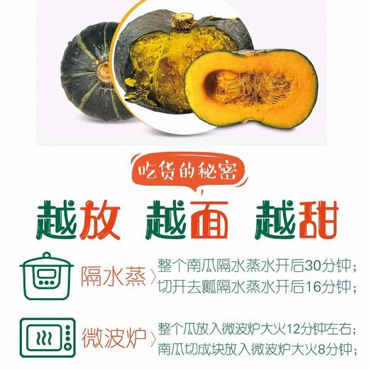 【新进品种 多种维生素 】贝贝南瓜 板栗南瓜迷你小南瓜 商品图8