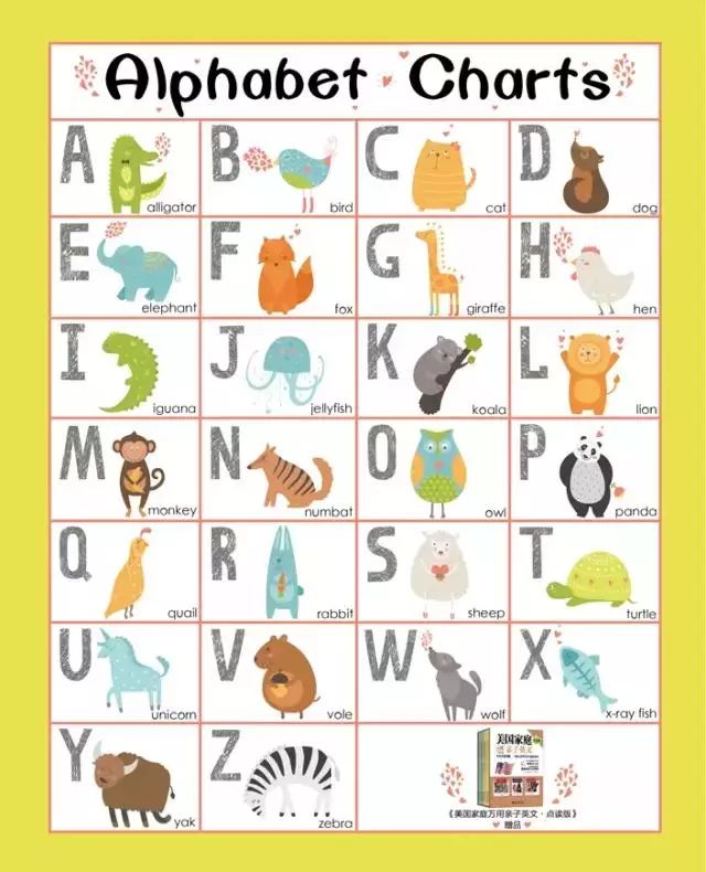 alphabet charts(字母表),包含26个字母及对应的常见单词,每个单词都