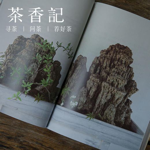 茶香记 《瓶花之美》 九州出版社 插花艺术 中国传统文化 经典美学 商品图3