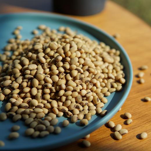 生态黄豆 | 合作生产*Eco- soybean | Coproduction 商品图1
