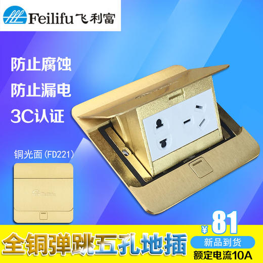 飞利富 铜地插五孔 FD221 商品图0