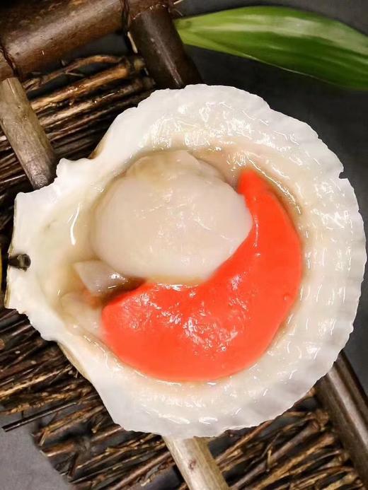 测试包邮工具1 商品图0