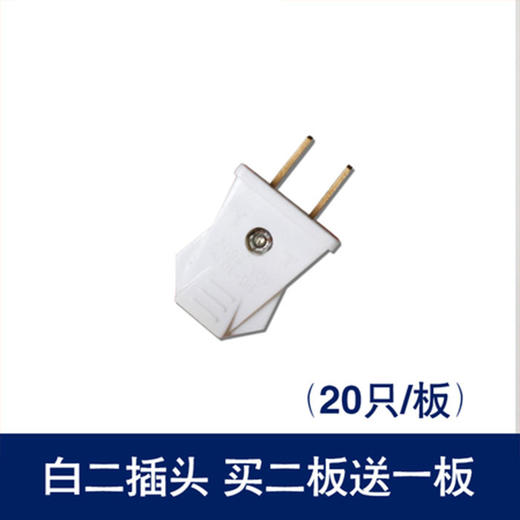 （王多） 10A二插头 商品图0