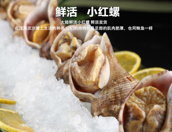 极鲜小红螺 约200g/份