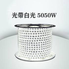 光带 白光W 5050 单