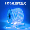 光带 斜三排 蓝光 2835(白富美） 商品缩略图0