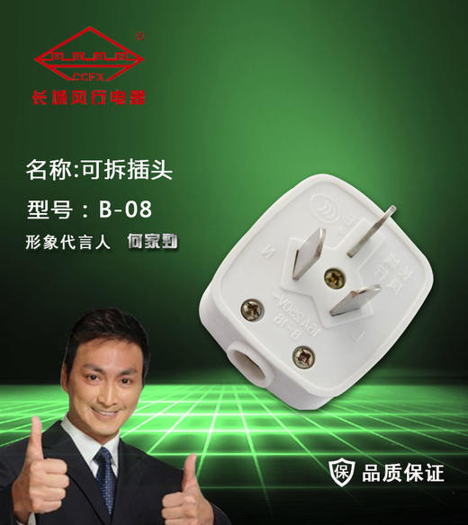 长城风行 三插头 B-08 10A 商品图0