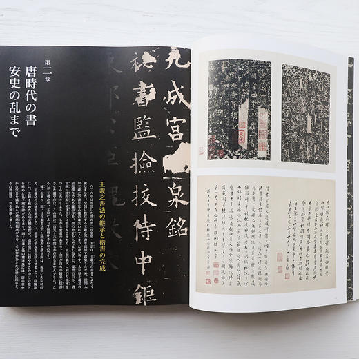 东京国立博物馆特展原版《颜真卿——超越王羲之的名笔》 商品图4