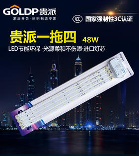 贵派灯带 一拖四 48W 不变光 长410（4*12W)