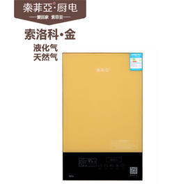 索菲亚 天燃气热水器 SFY50索洛科金 12L