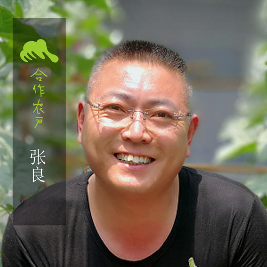 有机网纹瓜 | 合作生产 * Organic Honeydew melon | Coproduction 商品图2