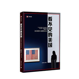 看不见的美国  文学