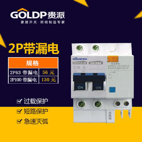 贵派 断路器 2P带漏电