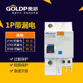 贵派断路器1P 漏电