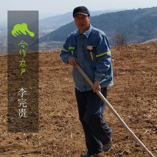 生态黄豆 | 合作生产*Eco- soybean | Coproduction 商品图2