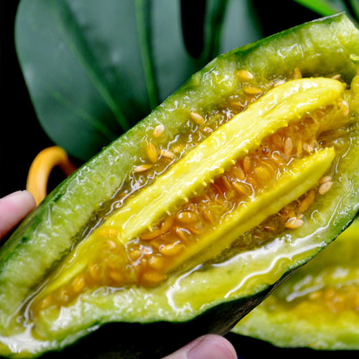 【1斤】山东羊角蜜 甜瓜1斤  (称重时超重部分补差价即可)【2日内提货】 商品图9